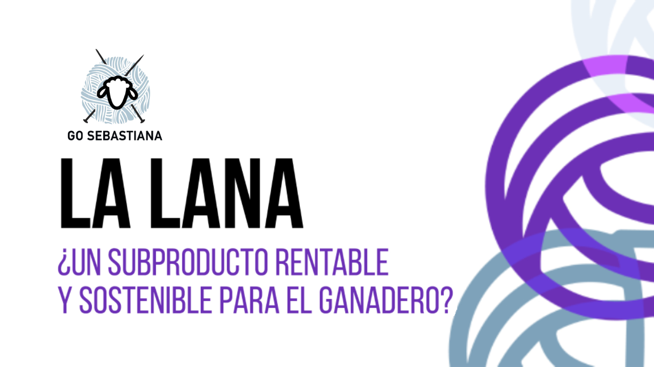 imagen principal noticia