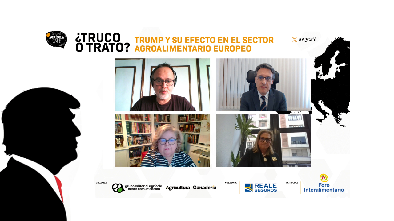 imagen principal noticia