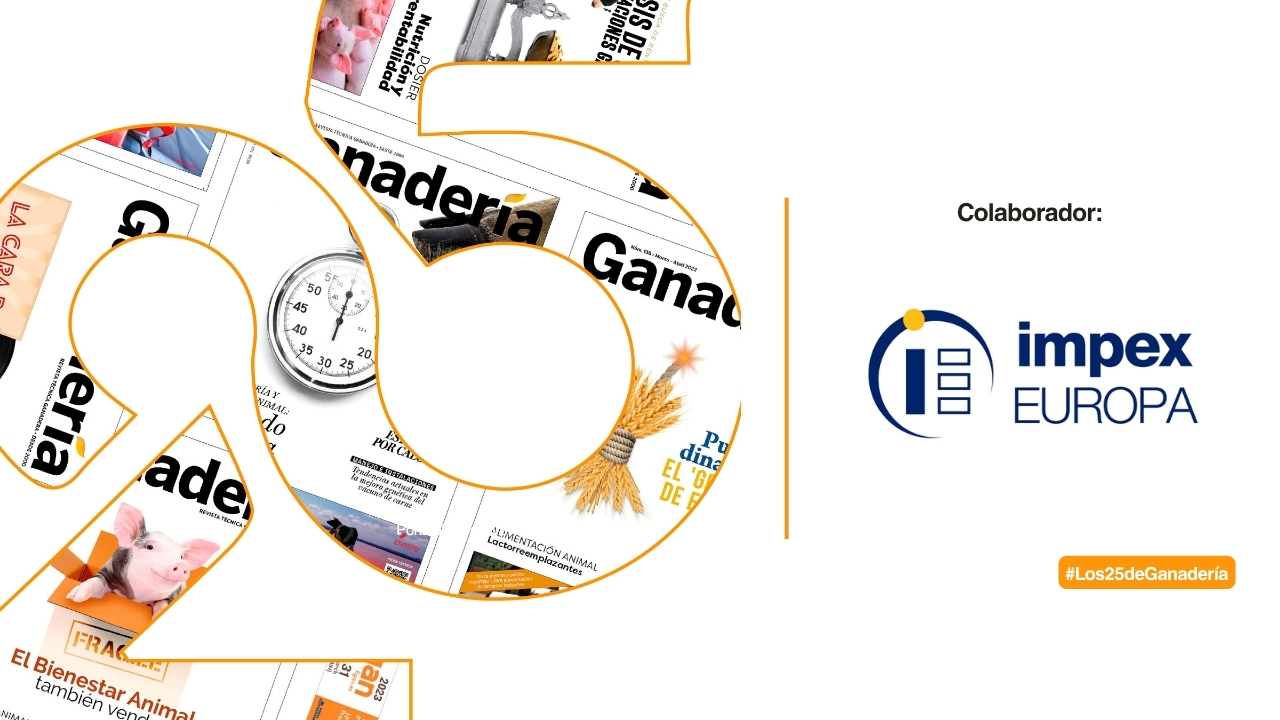 imagen principal noticia