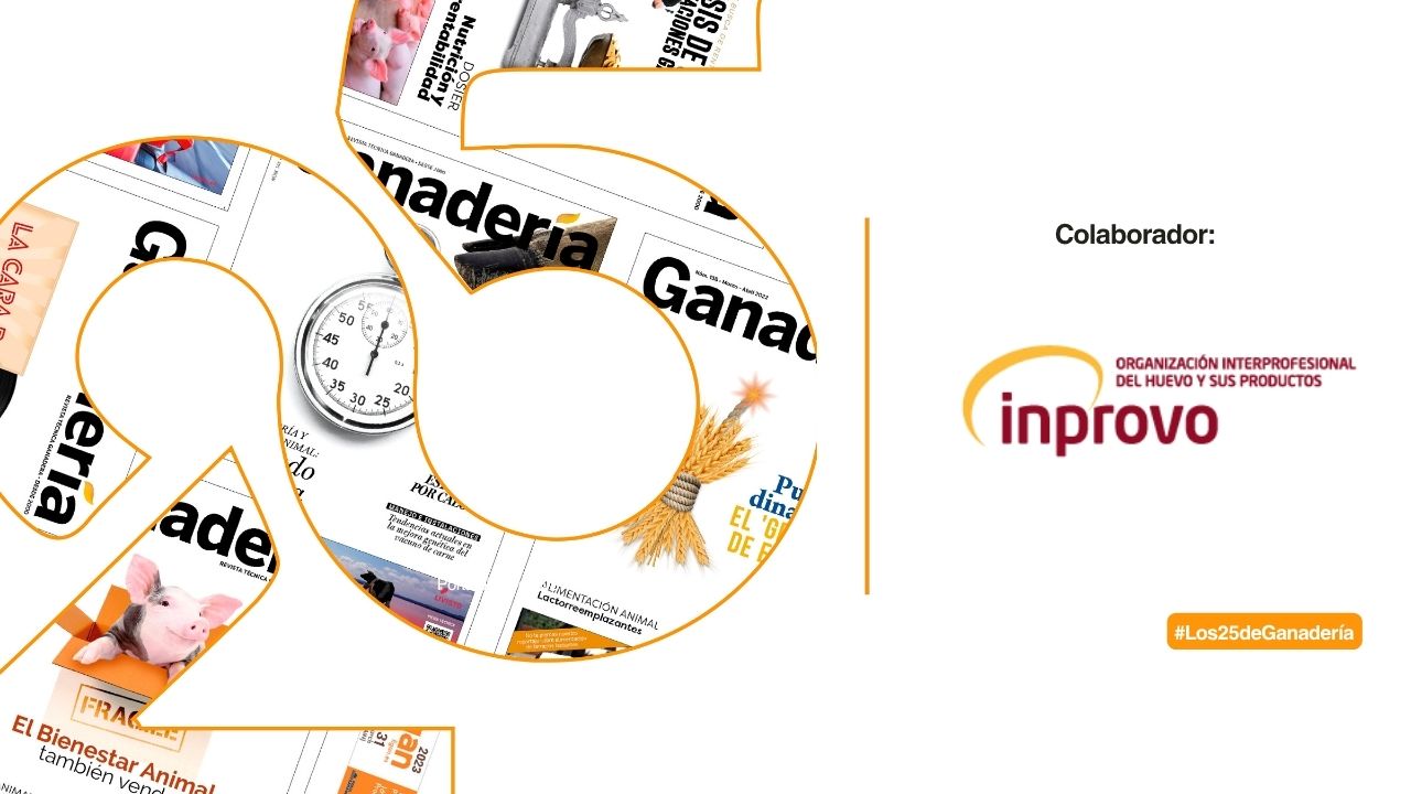 imagen principal noticia