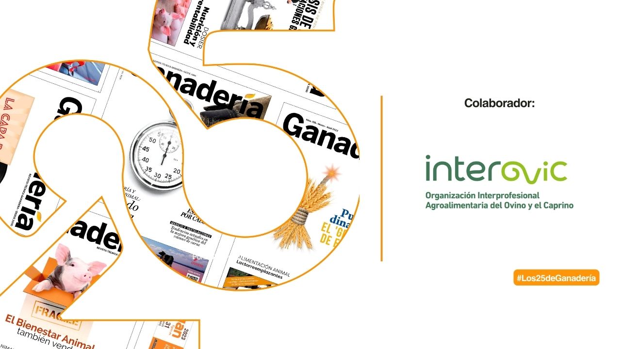 imagen principal noticia