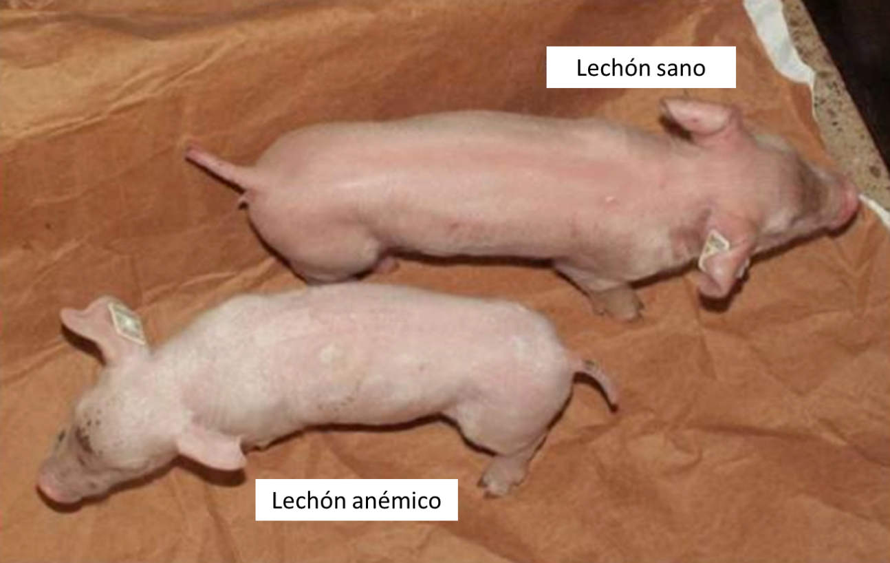 imagen principal noticia