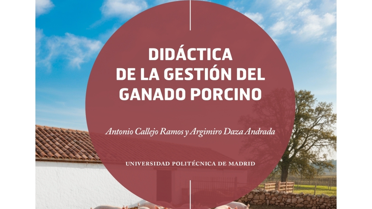 imagen principal noticia