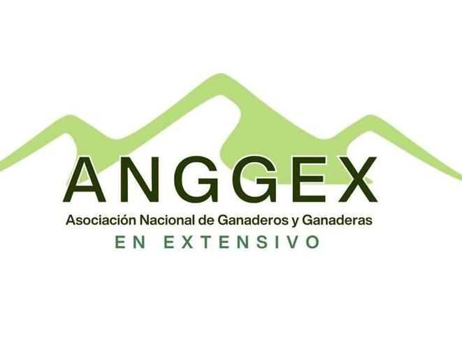 imagen principal noticia
