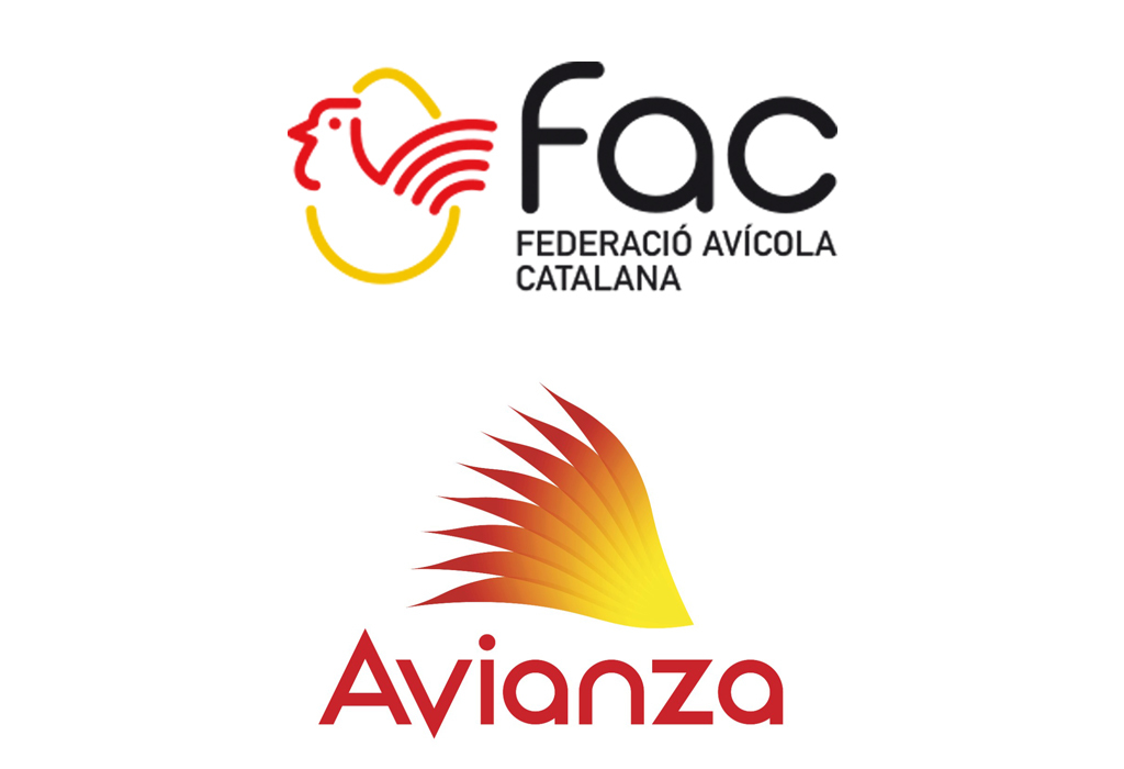 imagen principal noticia