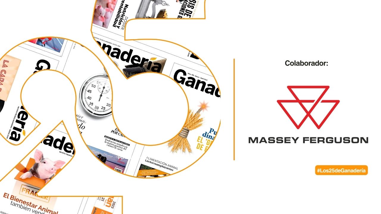 imagen principal noticia