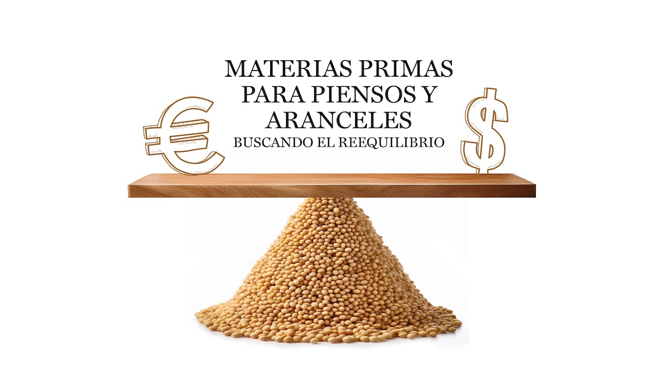 imagen principal noticia
