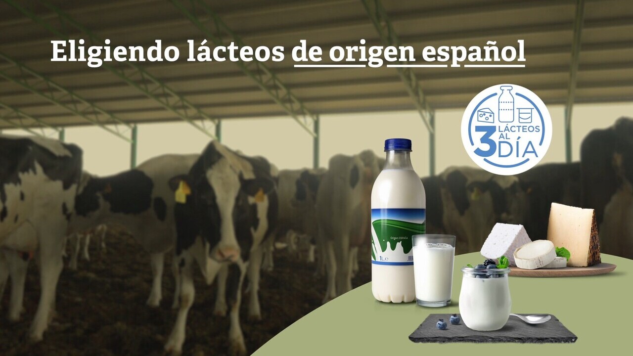 imagen principal noticia