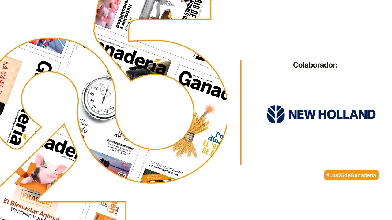 imagen principal noticia