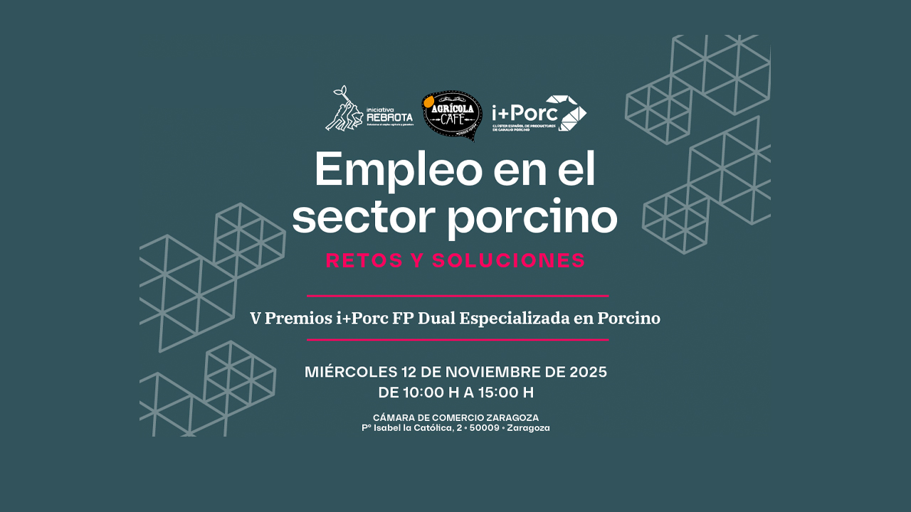 imagen principal noticia