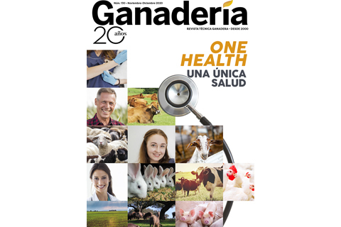 imagen principal noticia