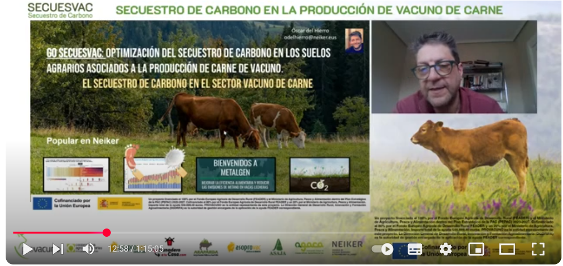 imagen principal noticia
