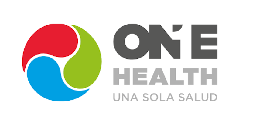 imagen principal noticia
