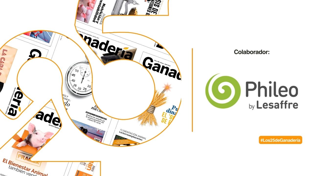 imagen principal noticia