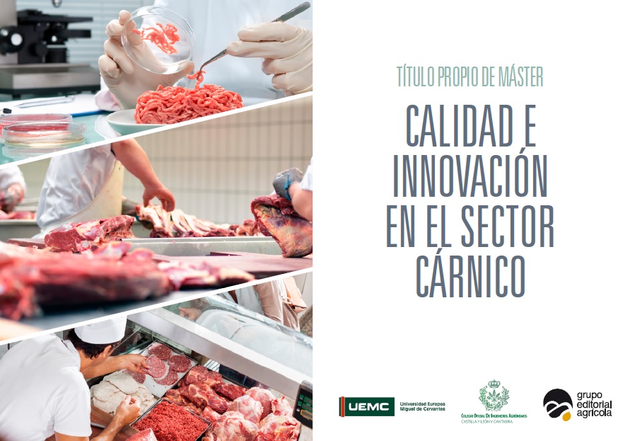 imagen principal noticia