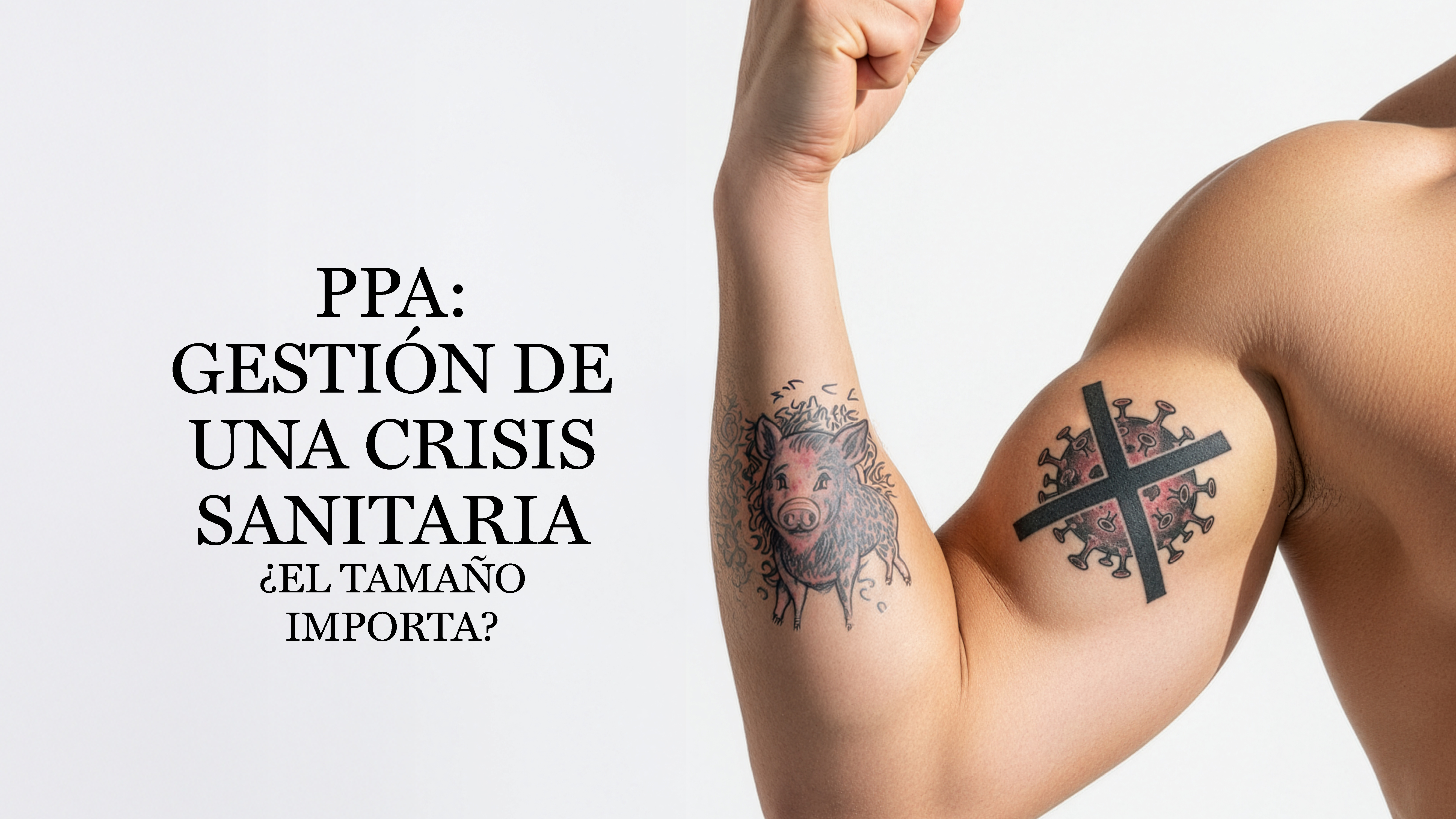 imagen principal noticia