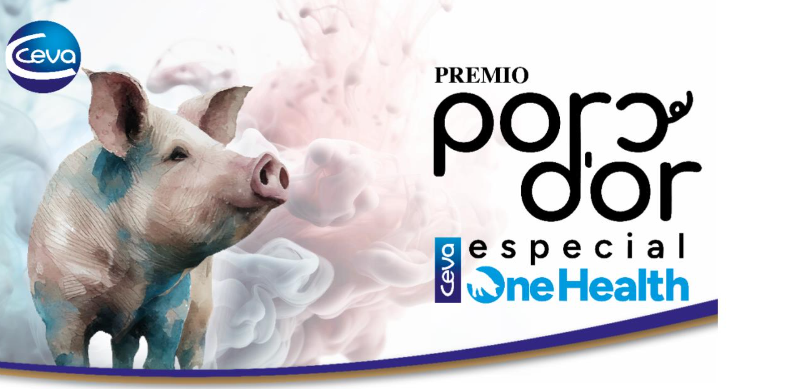imagen principal noticia