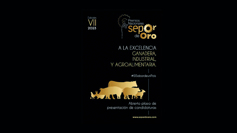 imagen principal noticia