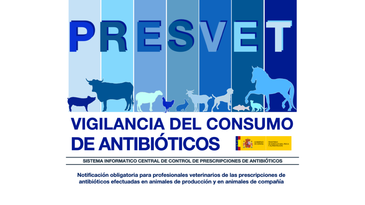imagen principal noticia