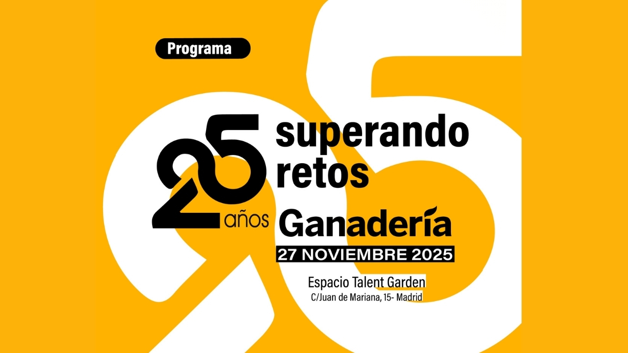 imagen principal noticia