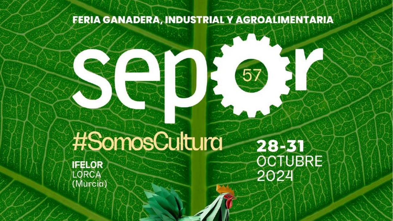 imagen principal noticia