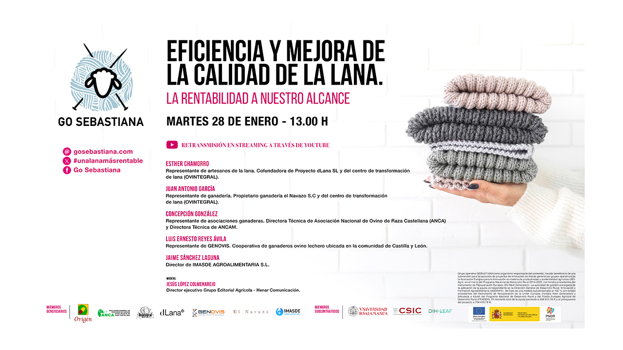 imagen principal noticia