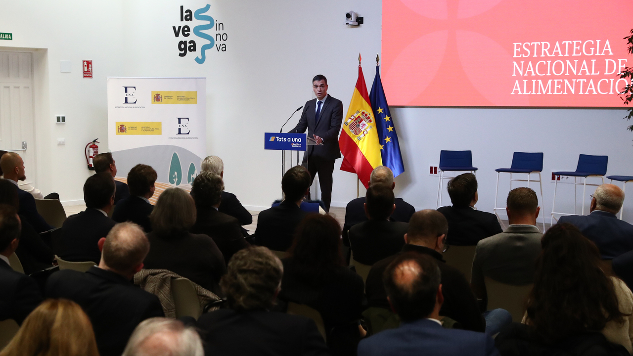 imagen principal noticia