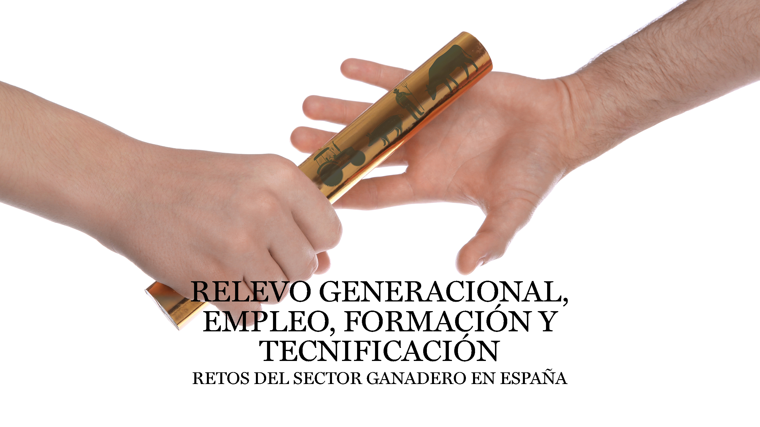 imagen principal noticia