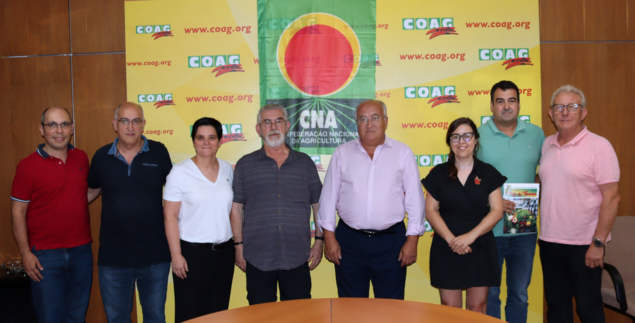 imagen principal noticia