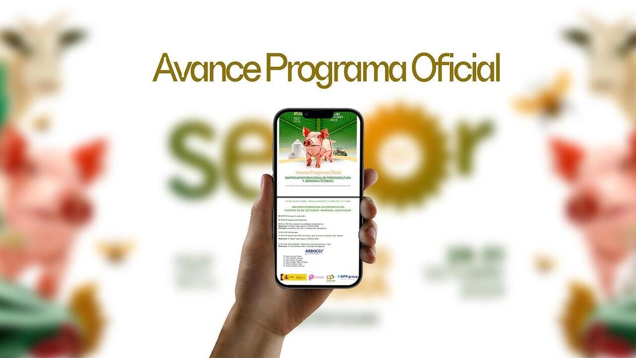 imagen principal noticia