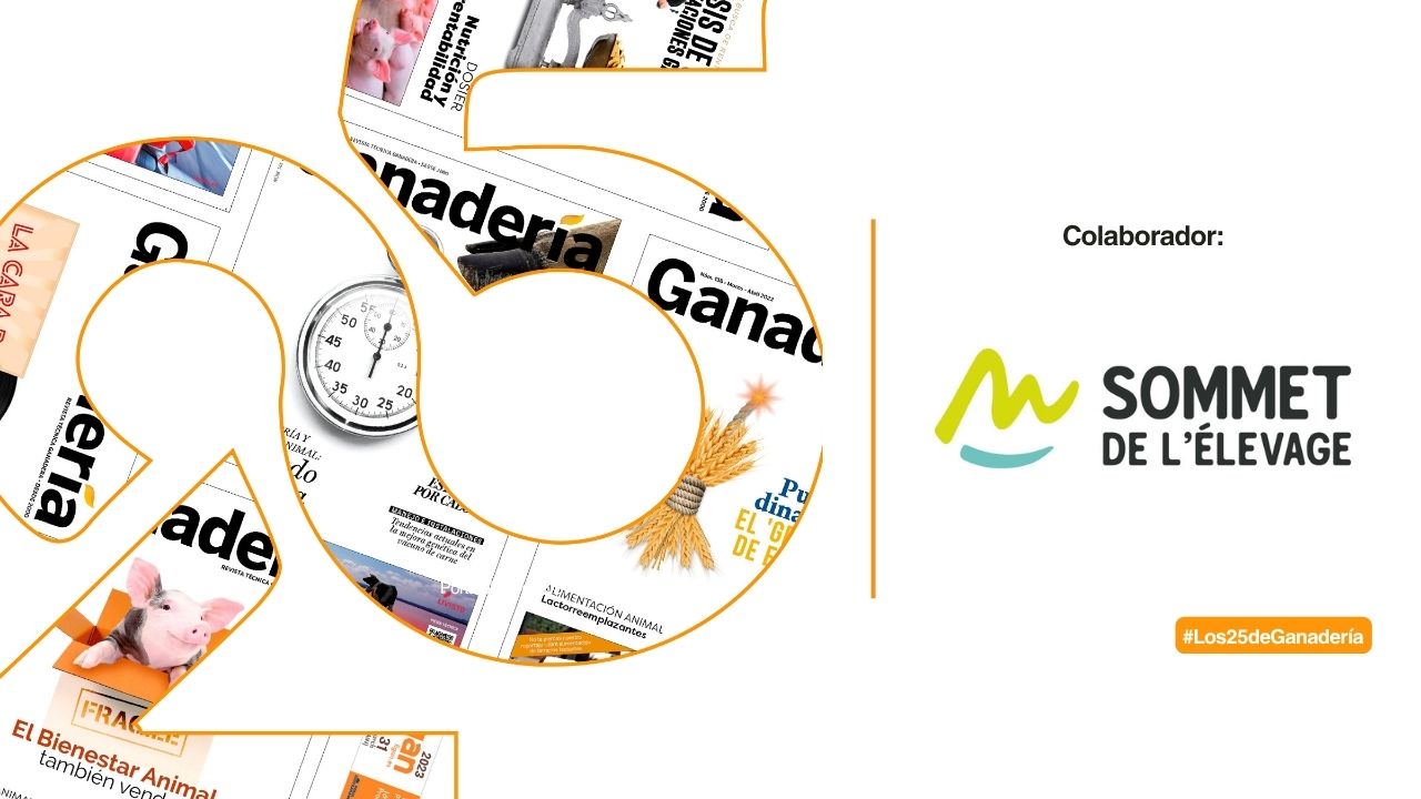 imagen principal noticia