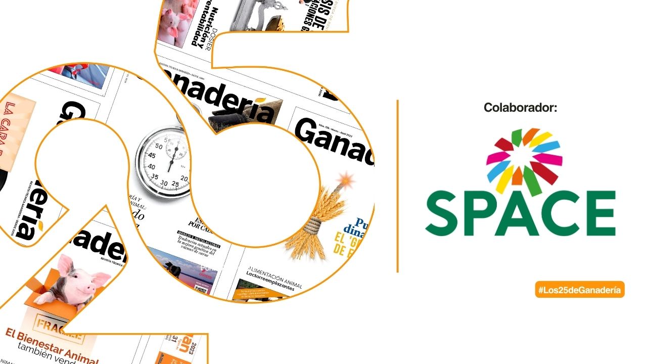 imagen principal noticia