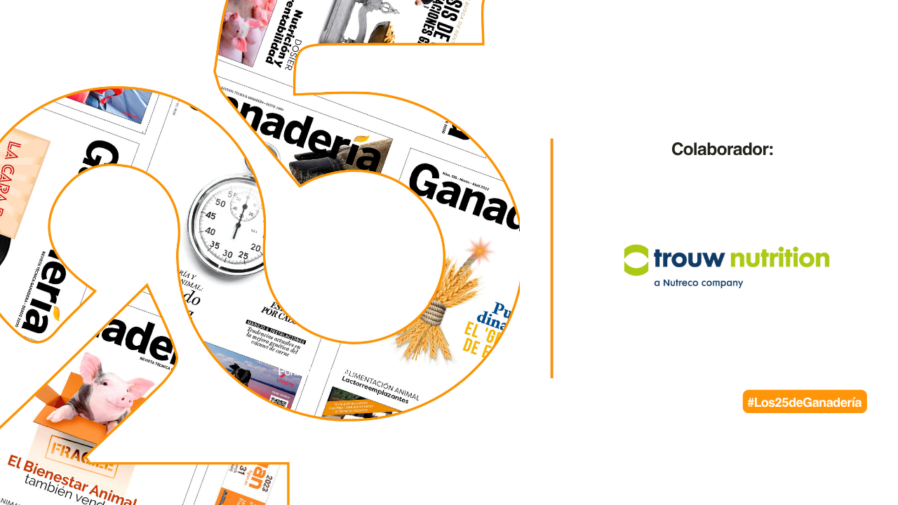 imagen principal noticia