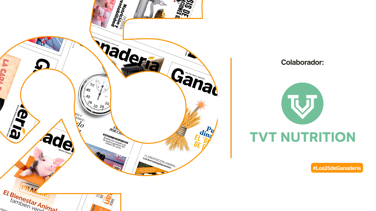 imagen principal noticia