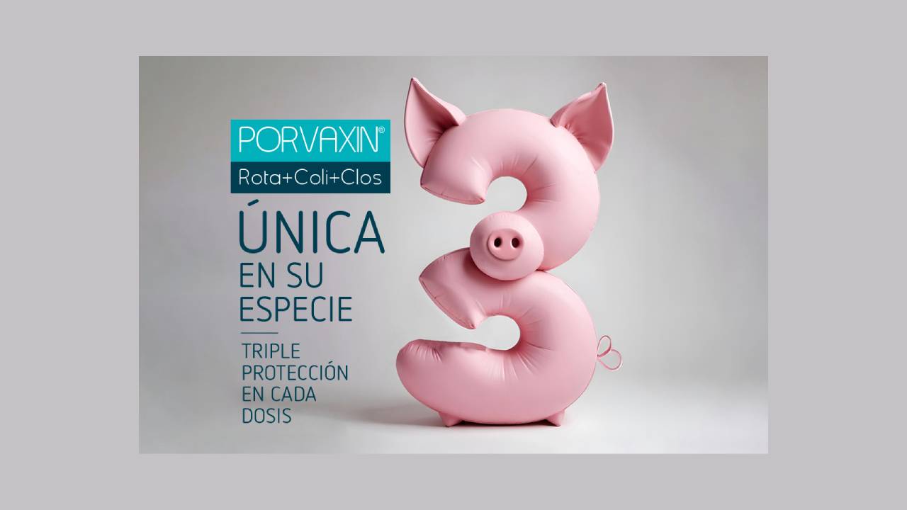 imagen principal noticia