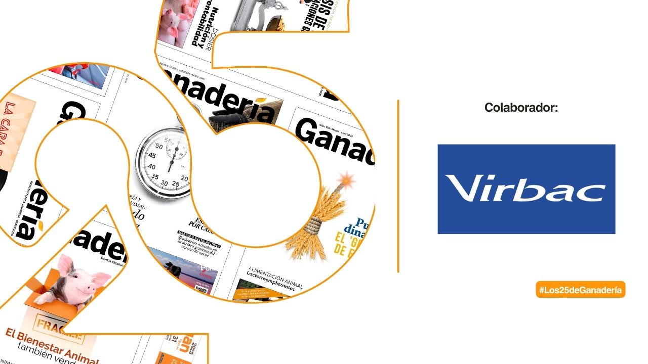 imagen principal noticia