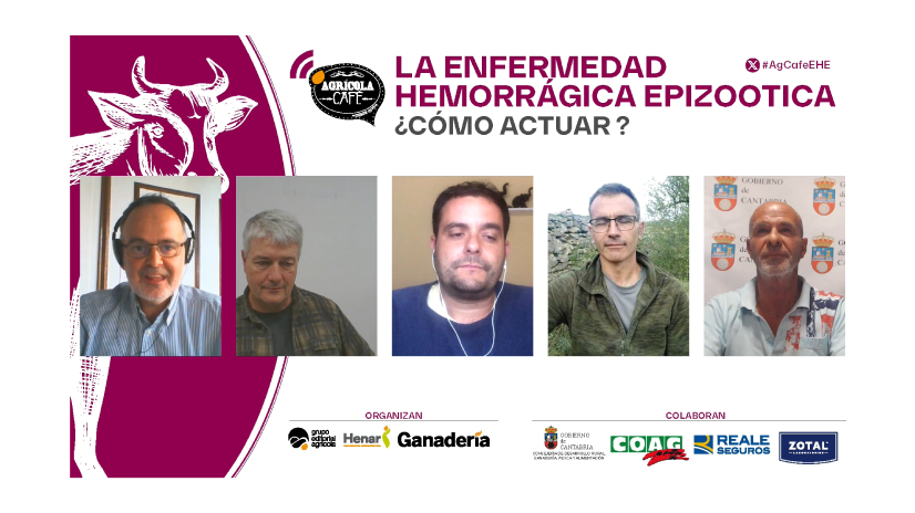 imagen principal noticia