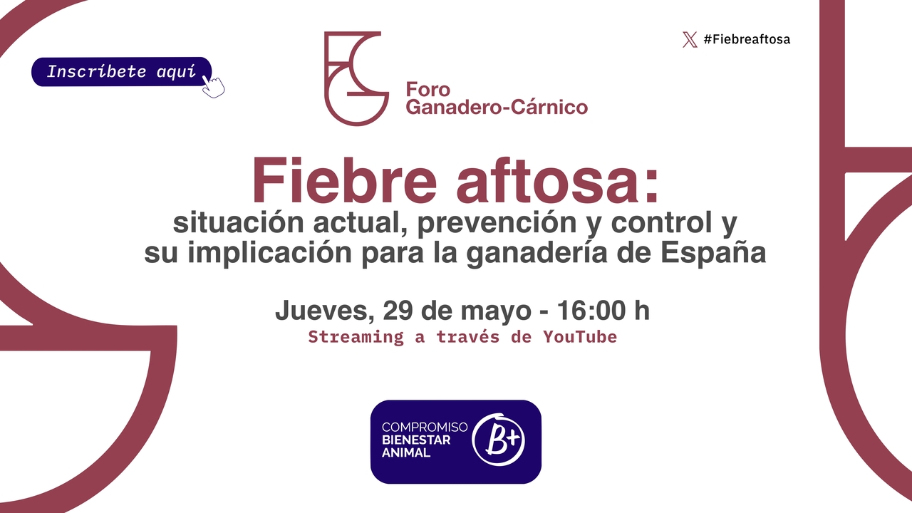 imagen principal noticia